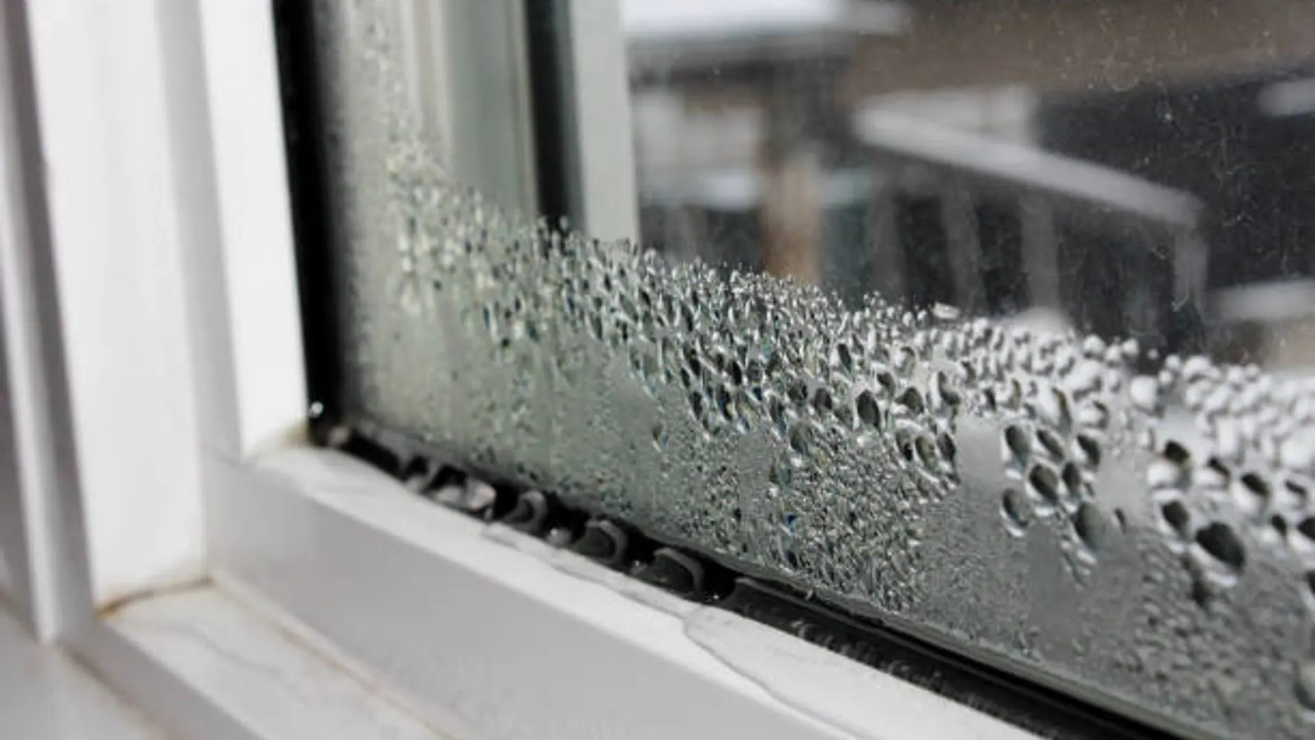 Guía Definitiva para Eliminar la Condensación en Ventanas
