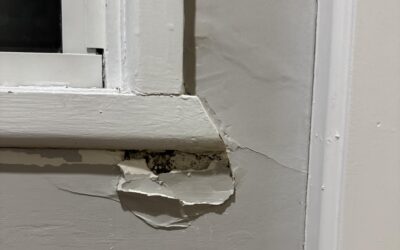 Detectar filtraciones en las ventanas: métodos efectivos y soluciones
